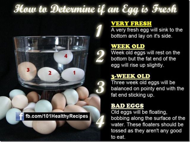 How to determine if an egg is fresh